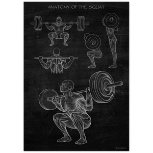 Squat Anatomie Wandbild